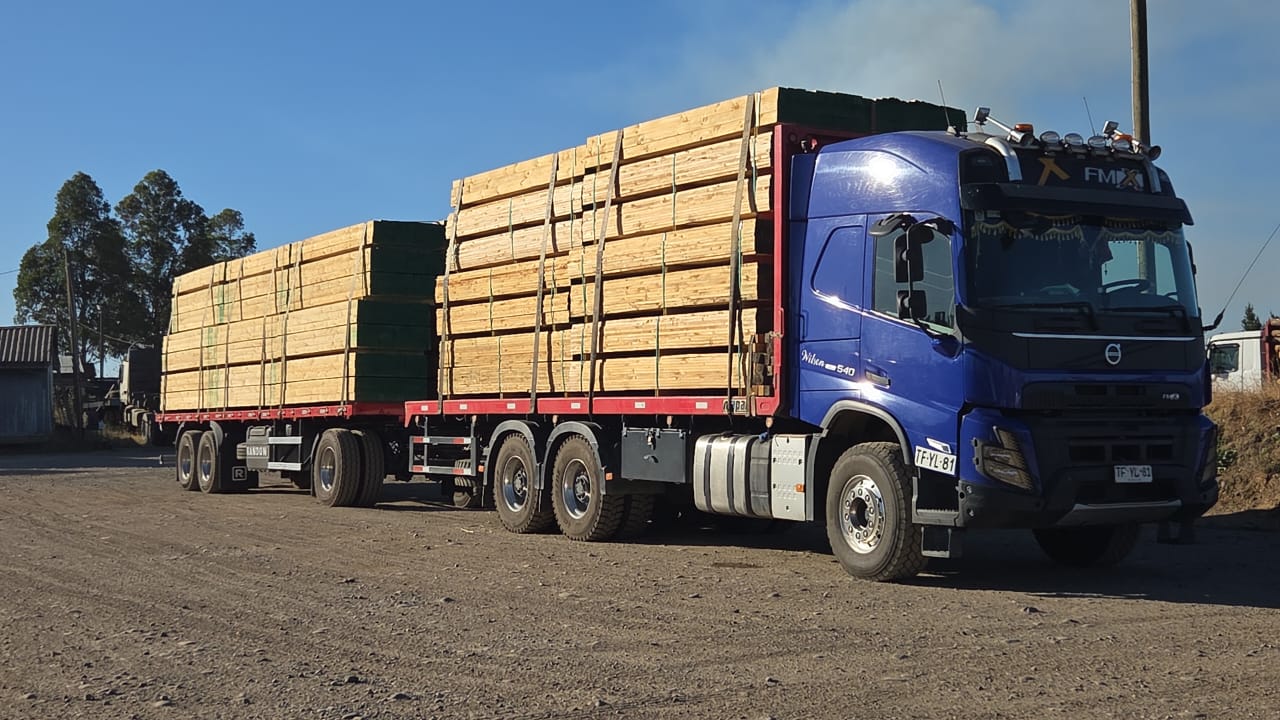 Camión cargado con madera de pino