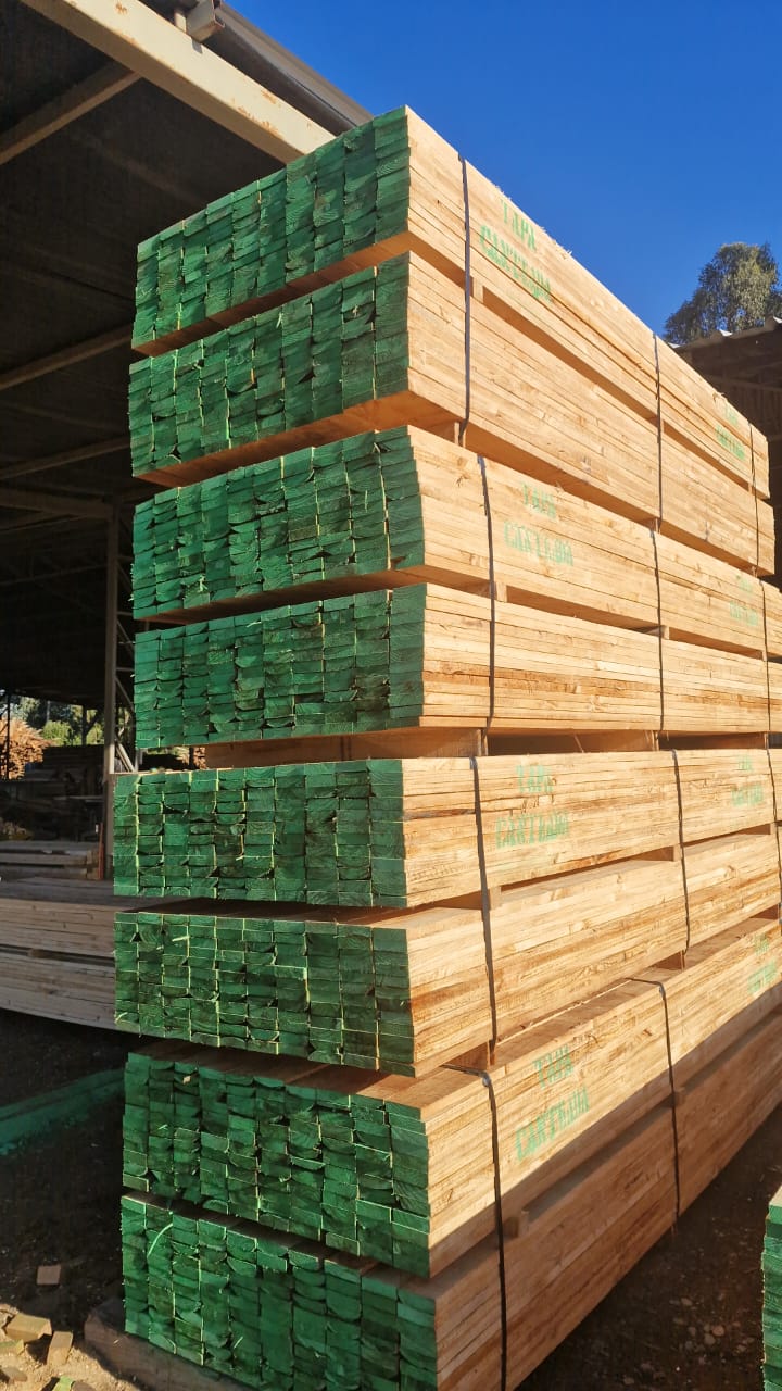 Tablas de pino dimensionado apiladas