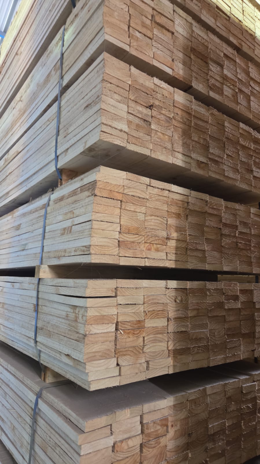 Madera con baño lista para despacho